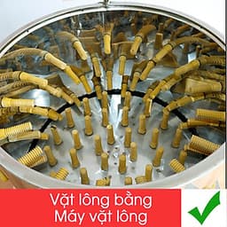 Máy Nhổ Lông Gà Vịt NEWSUN 55 - Hàng Chính Hãng