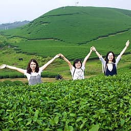 Tour 5N4Đ Hà Nội - Tú Lệ - Mù Cang Chải - Lai Châu - Điện Biên - Mộc Châu - Mai Châu, Khách Sạn 4 Sao, Khởi Hành Thứ 4 Hàng Tuần