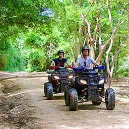 Vé Tham Quan Làng Voi Pattaya, Thái Lan - Một Giờ Trekking Cùng Voi (10: 30 - 11:30)
