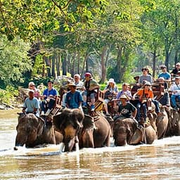 Vé Tham Quan Làng Voi Pattaya, Thái Lan - Một Giờ Trekking Cùng Voi (10: 30 - 11:30)