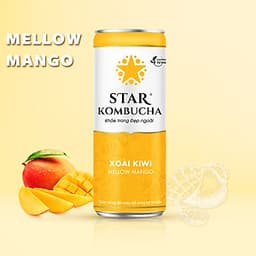 Thùng 12 lon STAR KOMBUCHA All-in-One (250ml/lon)