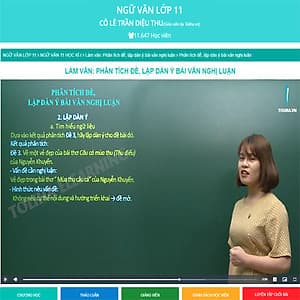 Khóa học NGỮ VĂN LỚP 11 cô Diệu Thu - 09 tháng