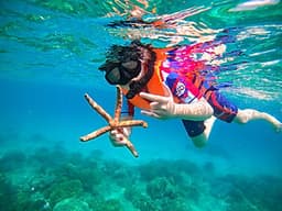 Tour Nha Trang - Đà Lạt 5 Ngày 4 Đêm