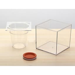 Bể Cá Kết Hợp Chậu Trồng Cây Đa Chức Năng