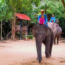 Vé Tham Quan Làng Voi Pattaya, Thái Lan - Một Giờ Trekking Cùng Voi (10: 30 - 11:30)