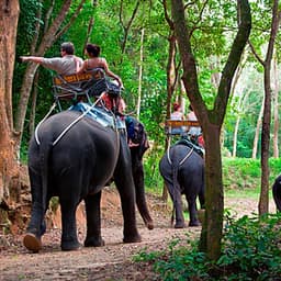 Vé Phuket Safari Gói D + Bữa Trưa (08:00 -12:30)