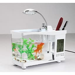 Bể cá mini để bàn làm việc