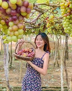 Tour Đảo Bình Ba - Bình Hưng 2N2Đ, Lặn Ngắm San Hô, Xe Giường Nằm, Khởi Hành Tối Thứ 6 Hàng Tuần & Dịp Lễ Tết