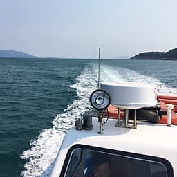 Tour lặn ngắm san hô sơn Trà không ăn đón bãi Rạng