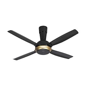 Quạt trần 4 cánh F56XPG