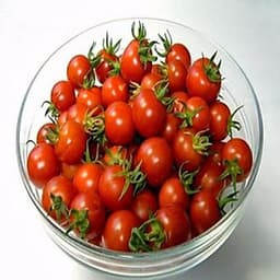 Hạt giống cà chua cherry F1- A6 0.5g
