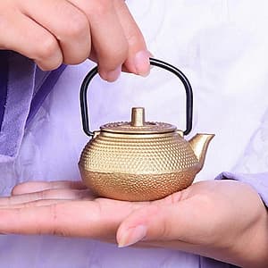 Ấm Pha Trà Kiểu Nhật Nhỏ ấm đun Nước ấm Tetsubin Ấm Trà Nhỏ ấm Trà 50ml
