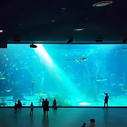 Vé Thủy Cung Aqua Planet Jeju, Hàn Quốc