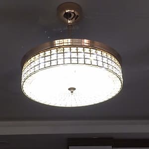Quạt trần dấu cánh 204011
