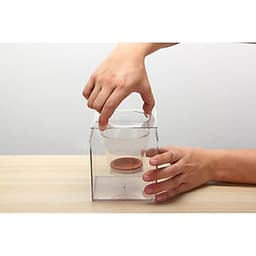 Bể Cá Kết Hợp Chậu Trồng Cây Đa Chức Năng
