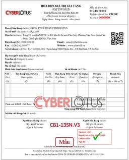 COMBO USB Chữ ký số Newca gói 3 năm + Hóa đơn điện tử Cyberbill 300 số