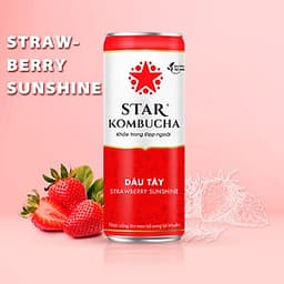 Thùng 12 lon STAR KOMBUCHA All-in-One (250ml/lon)