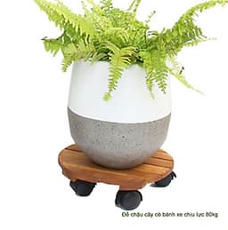 ĐẾ LÓT CHẬU CÂY CHẬU HOA-ĐẾ GỖ LÓT CHẬU-ĐẾ LÓT CHẬU CÂY CÓ BÁNH XE-ĐẾ LÓT CHẬU HÀNG CHỊU LỰC 80kg