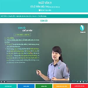 Khóa học NGỮ VĂN 9 cô Diệu Thu - 09 tháng