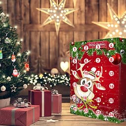 Christmas Elk Advent Calendar 2020 With 24 Little Doors Mystery Gift for Kids Children Fun Surprise