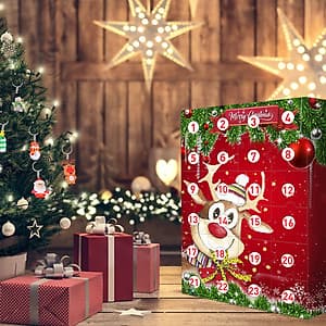 Christmas Elk Advent Calendar 2020 With 24 Little Doors Mystery Gift for Kids Children Fun Surprise