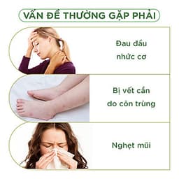 Dầu Lăn Thái Lan Thảo Mộc Green Herb Oil - 8ml 