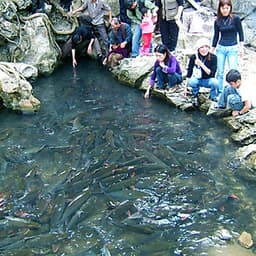 HÀ NỘI - MAI CHÂU – PÙ LUÔNG – SUỐI CÁ THẦN –THUNG NHAM – TAM CHÚC