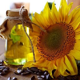 Bộ 3 chai dầu ăn hướng dương bảo vệ sức khỏe chai 1L- Nhập khẩu châu Âu