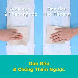 Combo 3 Tã Quần Pampers Điều Hoà Gói Lớn L60 Tặng 1 Túi Nước Giặt Ariel 1.4kg