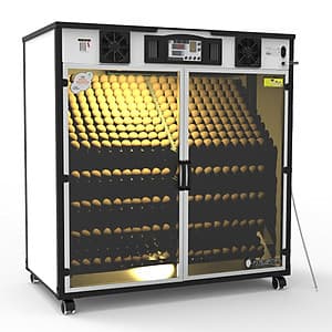 Máy ấp trứng Delta -H10 [1000 trứng] - Hàng chính hãng