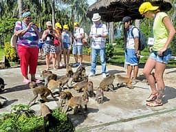 Tour Vịnh Nha Phu 1 Ngày Từ Nha Trang ( Suối Hoa Lan - Đảo Khỉ)
