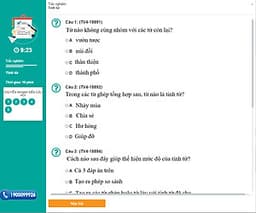 Khóa học TIẾNG VIỆT LỚP 4 - Cô Chu Ái Thu - 09 tháng