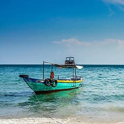 Tour đi bộ dưới biển Cù Lao Chàm Happy Day - Thứ 3 hàng tuần