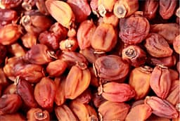 Hồng Treo Gió Đà Lạt 250gr - Đặc sản Ngon Lành