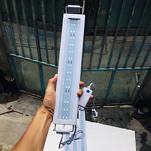 Đèn led hồ cá , hồ thủy sinh 