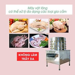 Máy Nhổ Lông Gà Vịt NEWSUN 55 - Hàng Chính Hãng