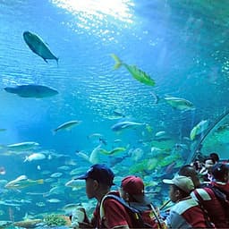 Vé Tham Quan Chiang Mai Zoo Aquarium, Thái Lan