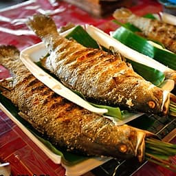 Tour 5N4Đ Hà Nội - Tú Lệ - Mù Cang Chải - Lai Châu - Điện Biên - Mộc Châu - Mai Châu, Khách Sạn 4 Sao, Khởi Hành Thứ 4 Hàng Tuần