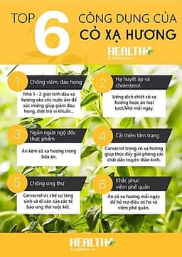 Dầu húng chanh Minion 30ml