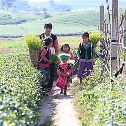 Tour 5N4Đ Hà Nội - Tú Lệ - Mù Cang Chải - Lai Châu - Điện Biên - Mộc Châu - Mai Châu, Khách Sạn 4 Sao, Khởi Hành Thứ 4 Hàng Tuần