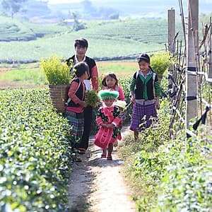 Tour 5N4Đ Hà Nội - Tú Lệ - Mù Cang Chải - Lai Châu - Điện Biên - Mộc Châu - Mai Châu, Khách Sạn 4 Sao, Khởi Hành Thứ 4 Hàng Tuần