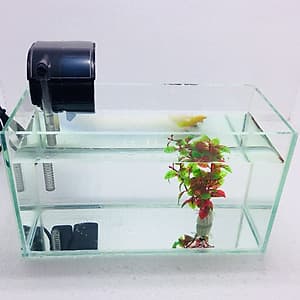 Bể cá mini để bàn combo Hồ 30x13x15cm