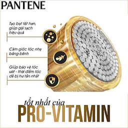 Dầu Gội Pantene Ngăn Rụng Tóc (1200g)