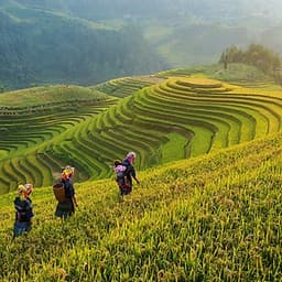 Tour 5N4Đ Hà Nội - Tú Lệ - Mù Cang Chải - Lai Châu - Điện Biên - Mộc Châu - Mai Châu, Khách Sạn 4 Sao, Khởi Hành Thứ 4 Hàng Tuần