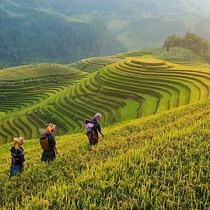 Tour 5N4Đ Hà Nội - Tú Lệ - Mù Cang Chải - Lai Châu - Điện Biên - Mộc Châu - Mai Châu, Khách Sạn 4 Sao, Khởi Hành Thứ 4 Hàng Tuần