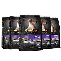 Combo 5 gói thức ăn cho chó con Ganador vị sữa & DHA Puppy Milk with DHA 400 gram