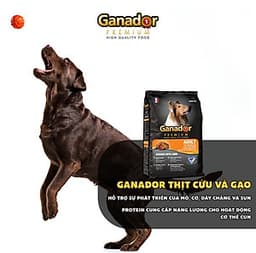 Combo 5 gói thức ăn cho chó trưởng thành Ganador vị thịt cừu & gạo Lamb & Rice 400gram