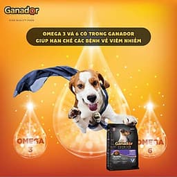 Combo 5 gói thức ăn cho chó con Ganador vị sữa & DHA Puppy Milk with DHA 400 gram