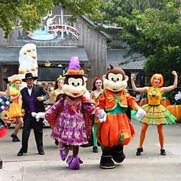 Vé Tham Quan Leofoo Village Theme Park