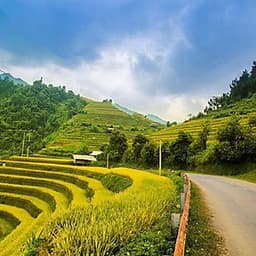 Tour Mù Cang Chải 2N1Đ Mùa Lúa Chín, Khởi Hành Thứ 7 Hàng Tuần & Dịp Lễ